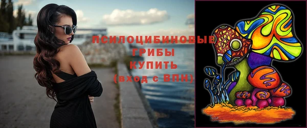 ешки Алексин