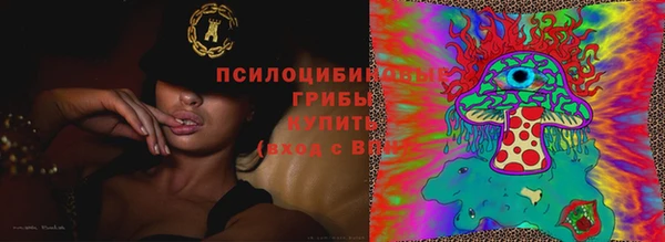 ПСИЛОЦИБИНОВЫЕ ГРИБЫ Алексеевка