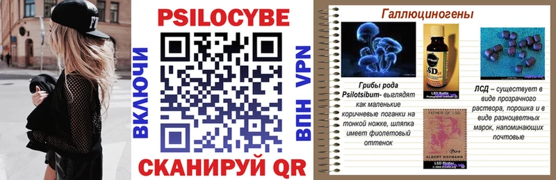 хочу наркоту Кизел Галлюциногенные грибы Psilocybe